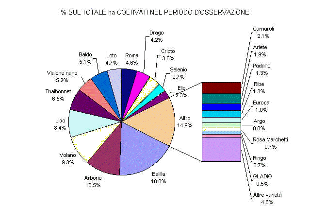 wpe3F.jpg (32753 byte)
