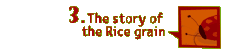 The story of rice grain