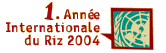 Année Internationale du Riz, 2004