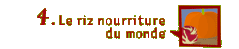 Le riz nourriture du monde