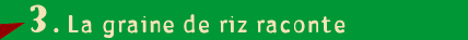 La graine de riz raconte