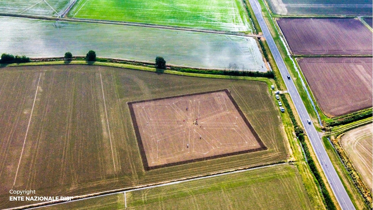 Il Risegno dell'Ente Nazionale Risi