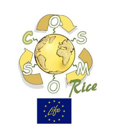 Convegno sul progetto COSMOS-RICE