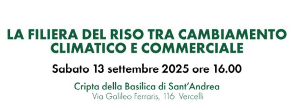 La filiera del riso tra cambiamento climatico e commerciale