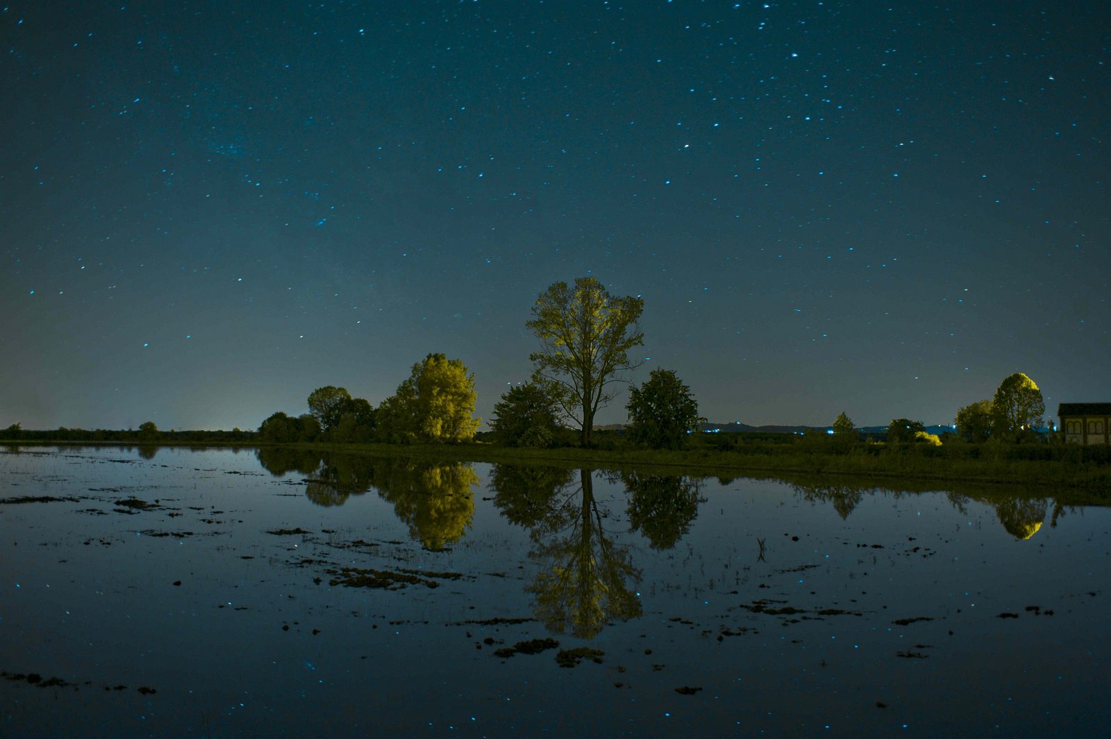 13 - La pianta del riso consuma solo una minima parte dell’acqua, che ha la funzione principale di ridurre l’escursione termica tra il giorno e la notte