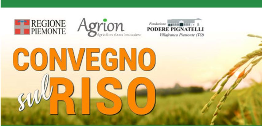 Regione Piemonte: organizza un convegno sul riso