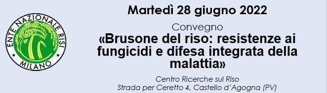 Brusone del riso: resistenze ai fungicidi e difesa integrata della malattia