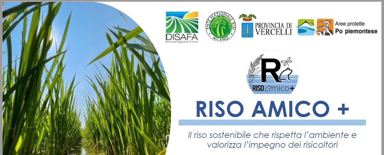 Incontro finale del progetto Riso amico +