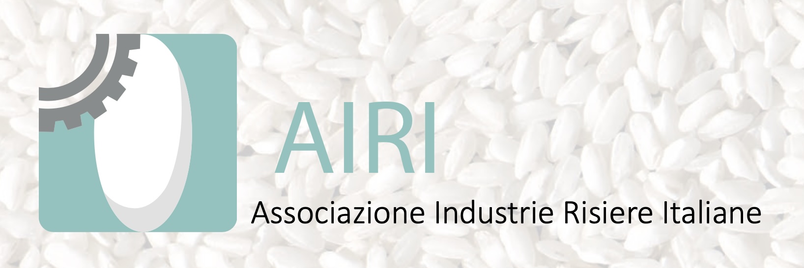Mercato, innovazione, clima: strategie per il futuro del riso italiano