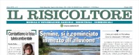Pubblicato on-line Il Risicoltore di giugno 2025