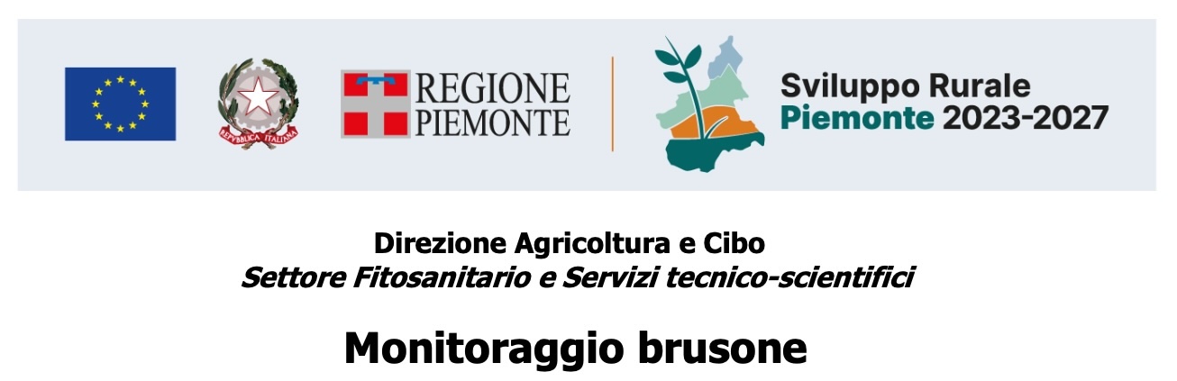 3° bollettino Monitoraggio Brusone - 30/06/2025