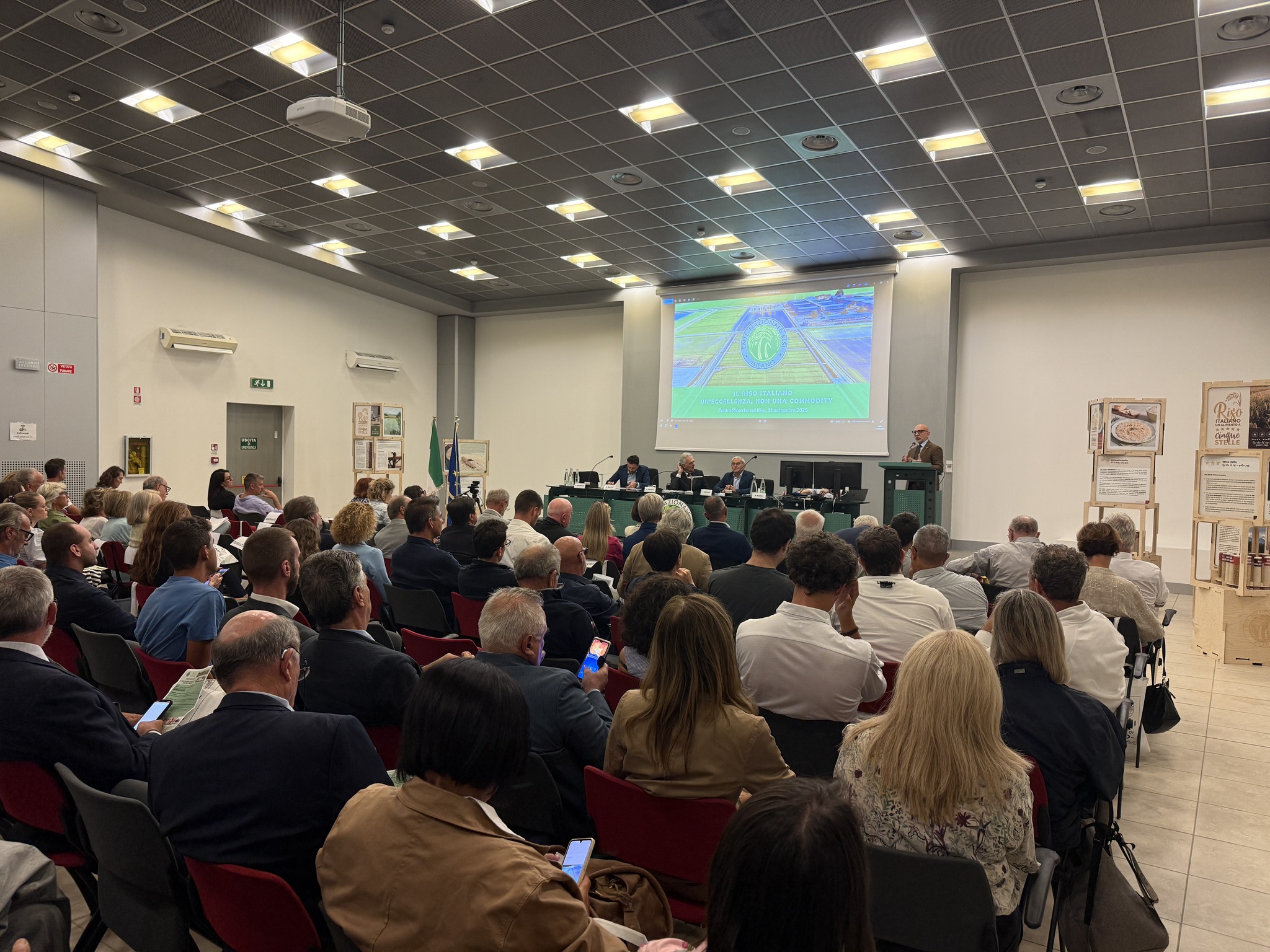 Il riso italiano: un’eccellenza e non una commodity