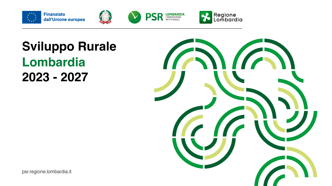 Progetto FERTIRISO: avviata la piattaforma dimostrativa con la semina delle cover crop