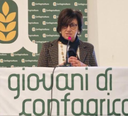 La filiera del riso è al collasso e chiede aiuto