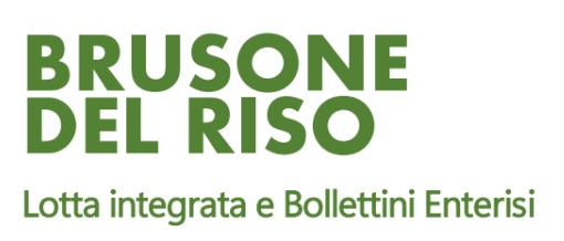 Bollettini di rischio del brusone del riso