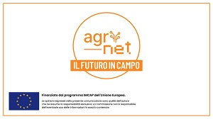'Agrinet: Il futuro in campo' il riso protagonista su Tv2000