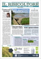 Il Risicoltore (giugno 2025)