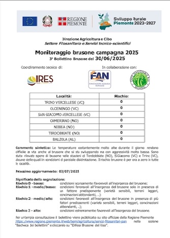 3° bollettino Monitoraggio Brusone - 30/06/2025