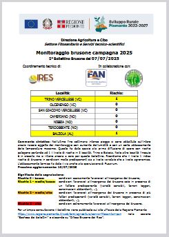 5° bollettino Monitoraggio Brusone - 07/07/2025