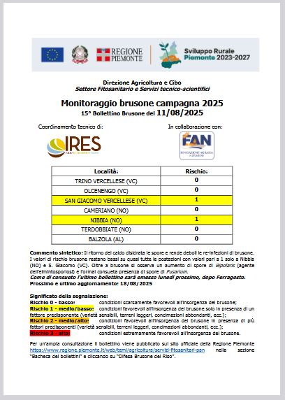 15° bollettino Monitoraggio Brusone - 11/08/2025