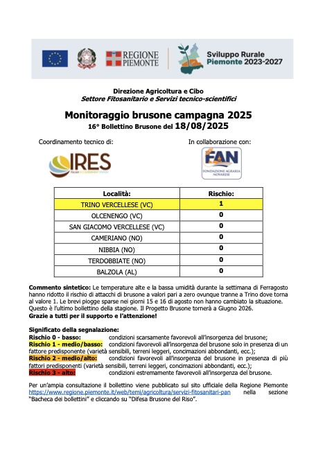 16° bollettino Monitoraggio Brusone - 18/08/2025