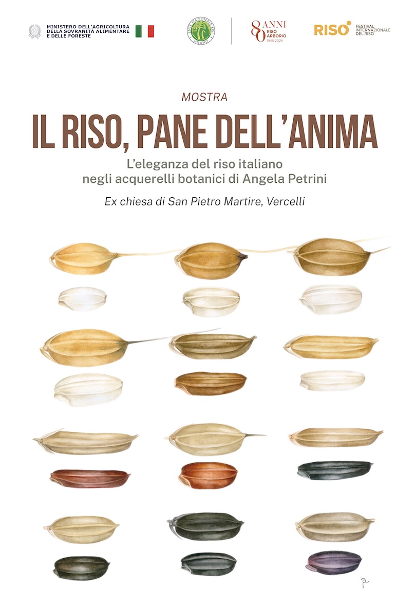 Il Riso, pane dell'anima 